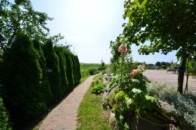 Zugang zum Garten Sonnenkliff OG.JPG